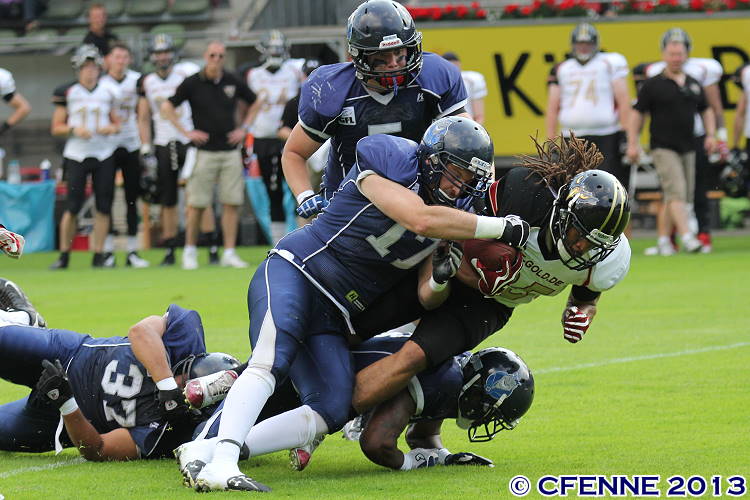 20130706falcons-hbd0128.jpg
