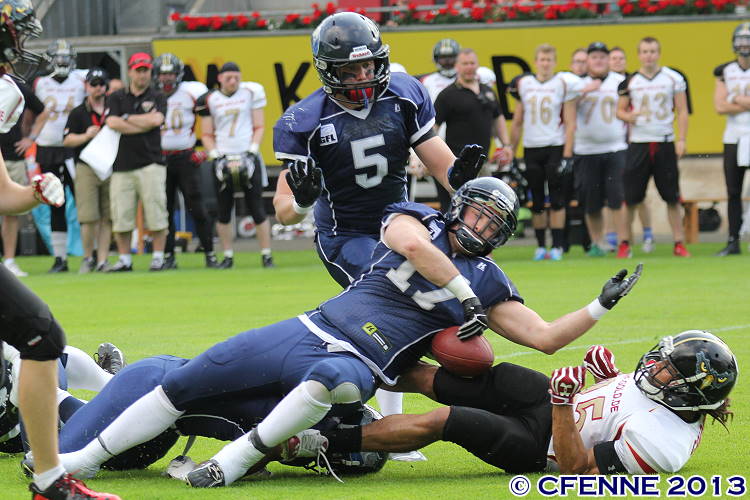 20130706falcons-hbd0129.jpg
