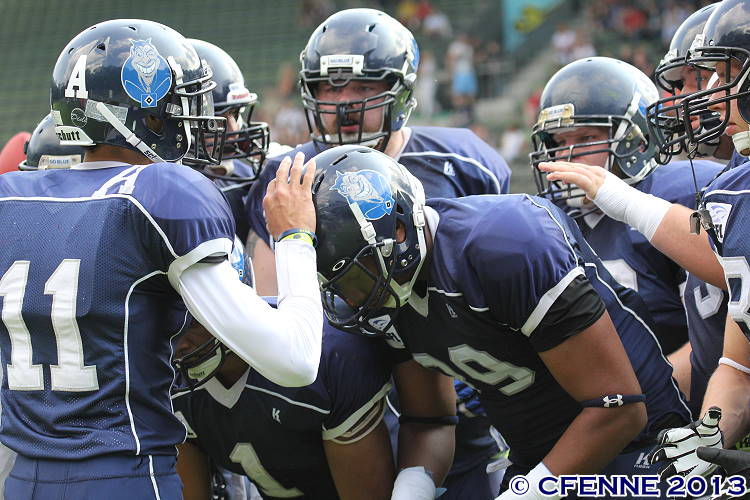 20130706falcons-hbd0131.jpg