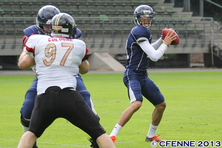 20130706falcons-hbd0163.jpg