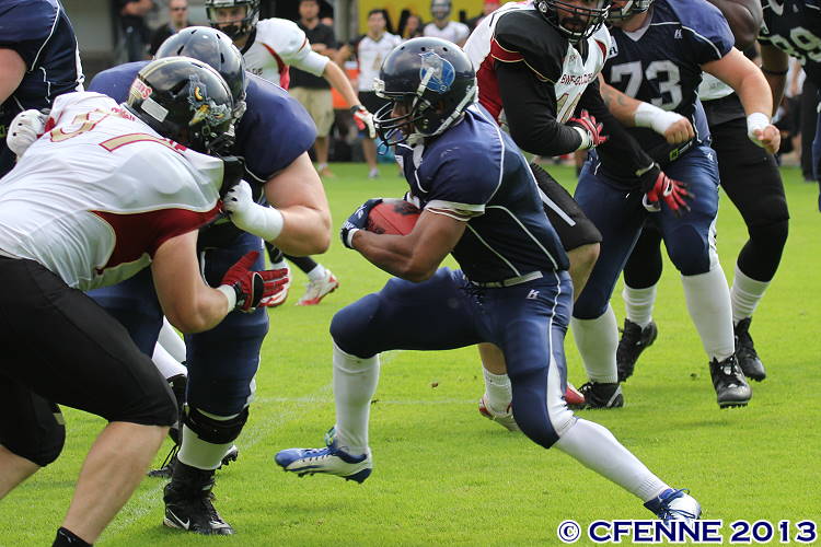 20130706falcons-hbd0174.jpg