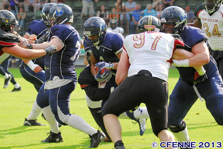 20130706falcons-hbd0190.jpg