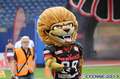 20130728lions-hbd0082.jpg