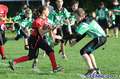 20130914hamburgerflagmeisterschaft0121.jpg