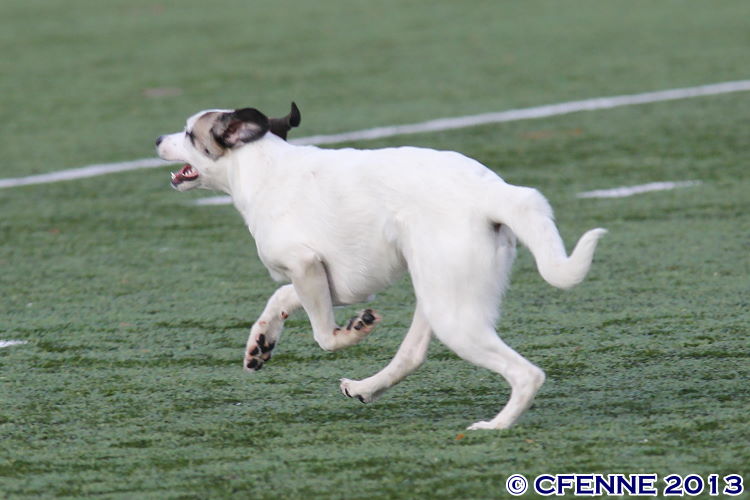 20131026b-jlt0197.jpg