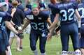 20140615devilyns-ladylions020.jpg