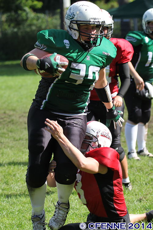 20140824amazons-shamrocks260.jpg