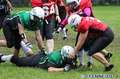 20140824amazons-shamrocks123.jpg