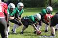 20140824amazons-shamrocks233.jpg