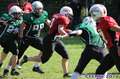 20140824amazons-shamrocks292.jpg