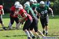 20140824amazons-shamrocks306.jpg