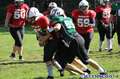 20140824amazons-shamrocks310.jpg