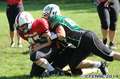 20140824amazons-shamrocks313.jpg