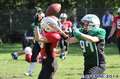 20140824amazons-shamrocks342.jpg