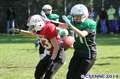 20140824amazons-shamrocks343.jpg