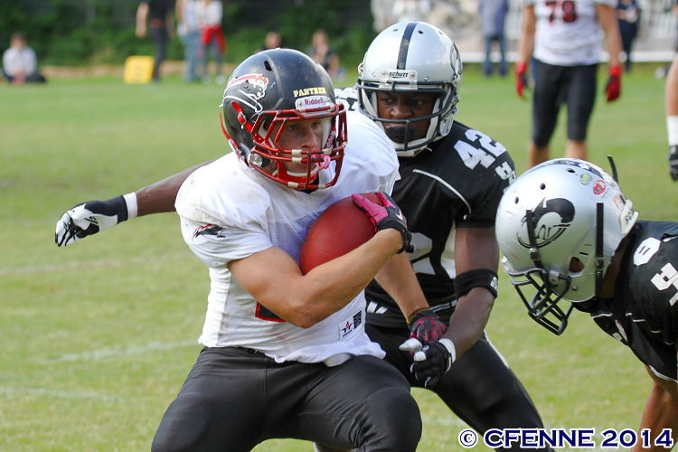 0-20140629younghuskies-panther540.jpg