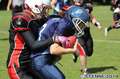 0-20140615devilyns-ladylions470.jpg