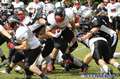 0-20140629younghuskies-panther155.jpg