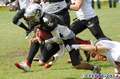 0-20140629younghuskies-panther427.jpg