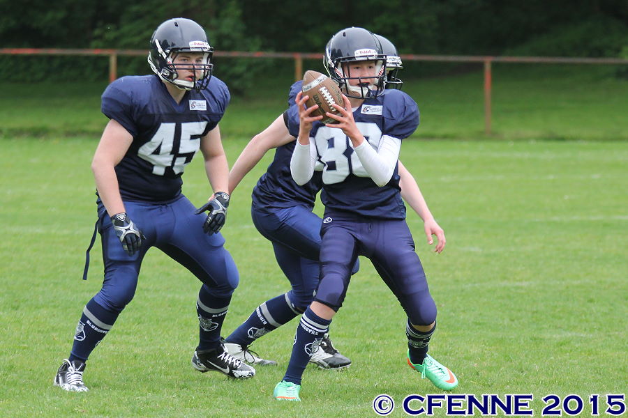 20150516canes-hrd215.jpg
