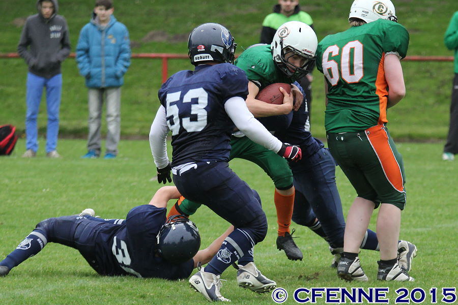 20150516canes-hrd525.jpg