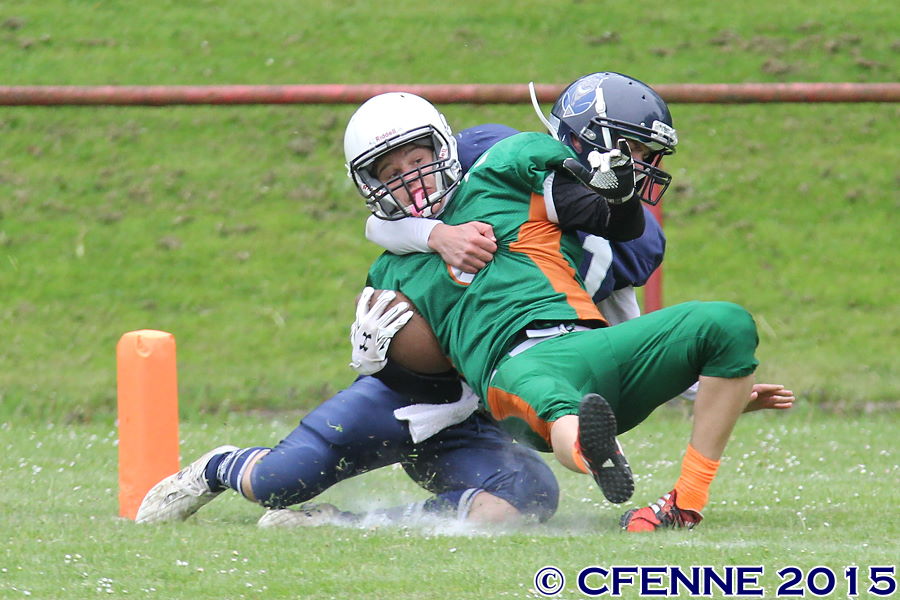 20150516canes-hrd640.jpg
