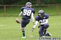20150516canes-hrd476.jpg