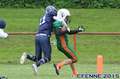 20150516canes-hrd638.jpg