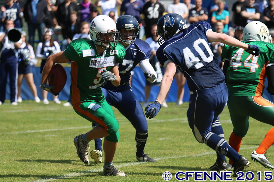 20150606hbd-canes0202.jpg