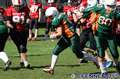 20150906amazons-ladycanes0118.jpg