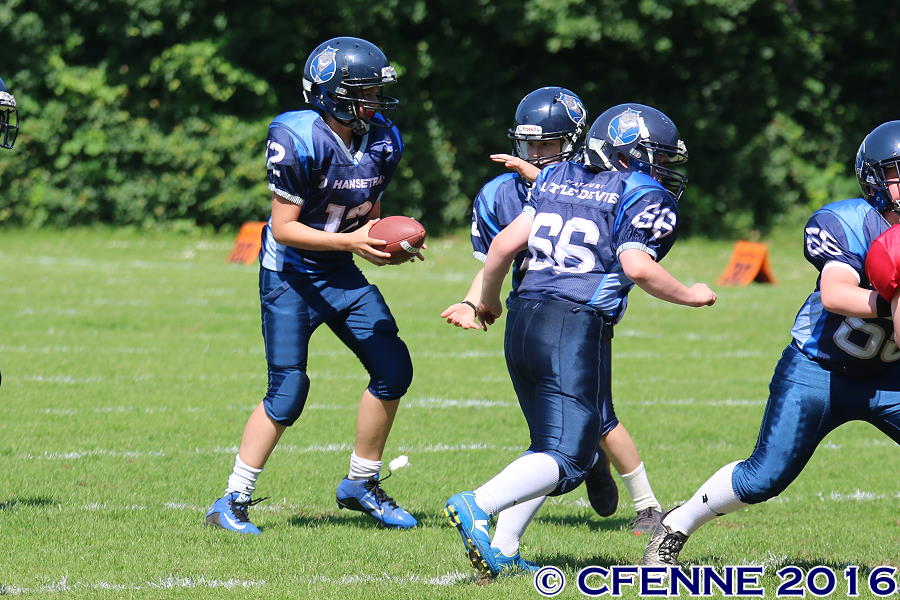 20160604hld-mustangs0194.jpg