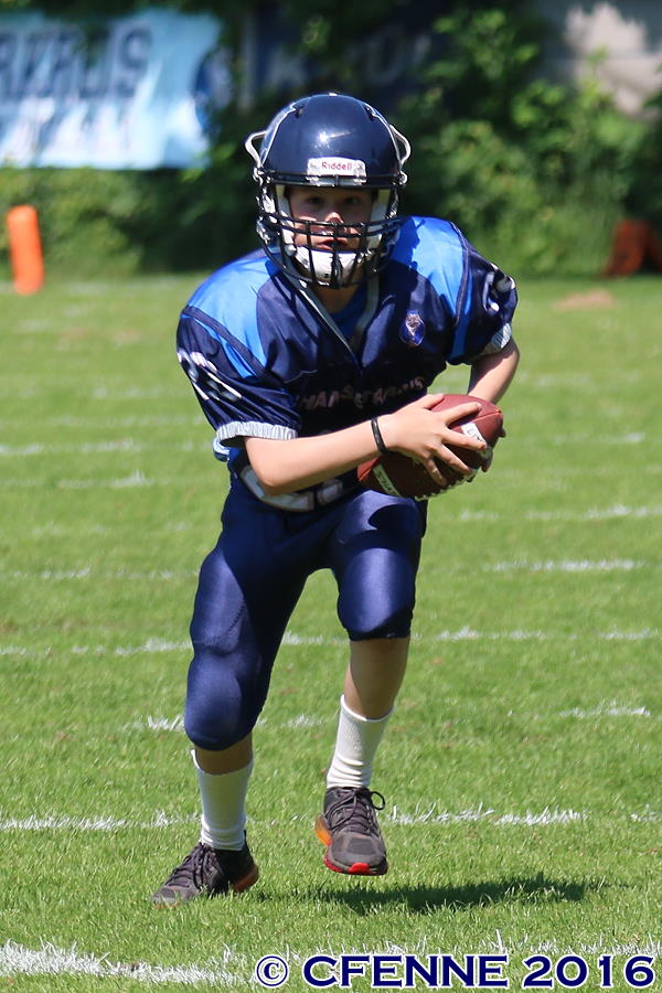 20160604hld-mustangs0201.jpg
