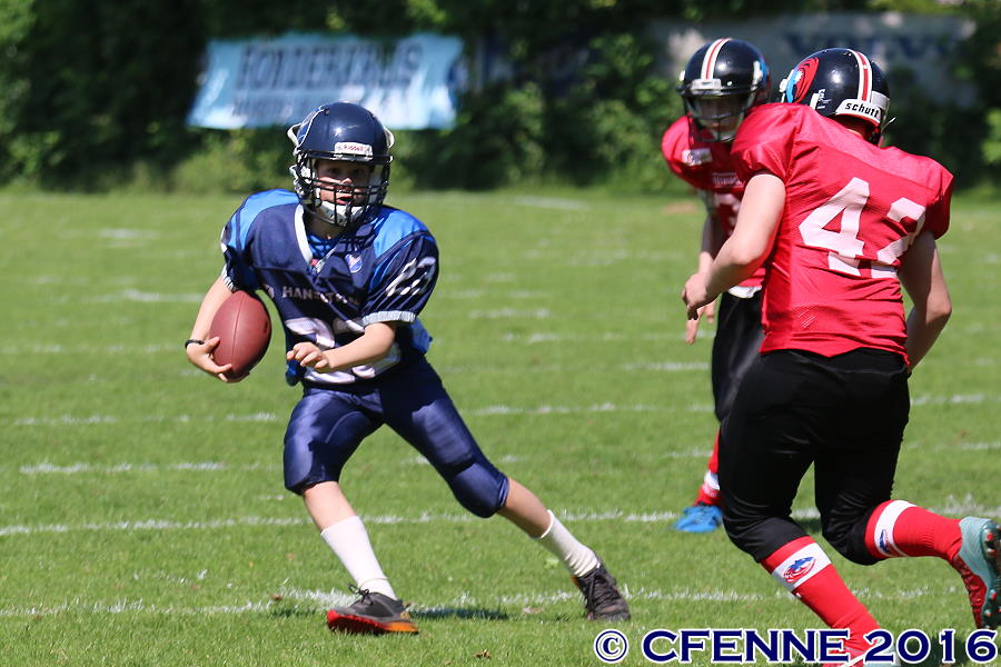 20160604hld-mustangs0206.jpg
