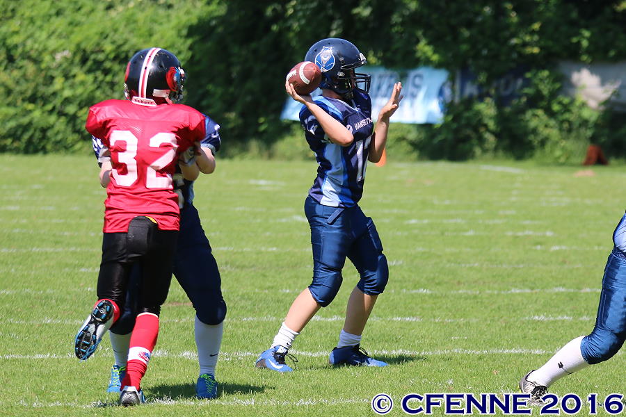 20160604hld-mustangs0211.jpg
