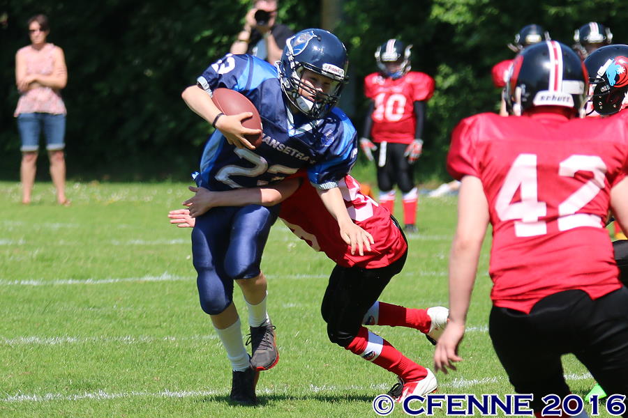 20160604hld-mustangs0216.jpg