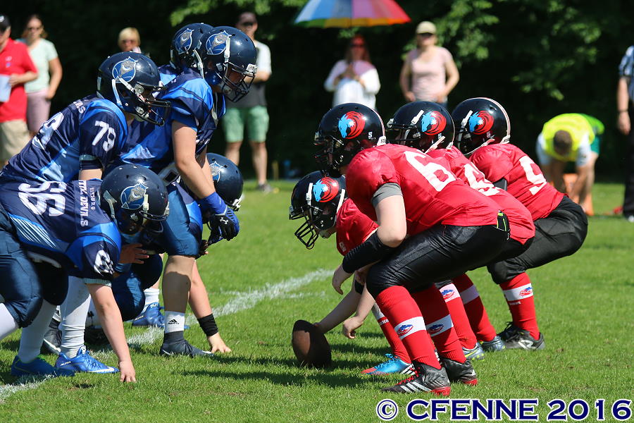 20160604hld-mustangs0230.jpg