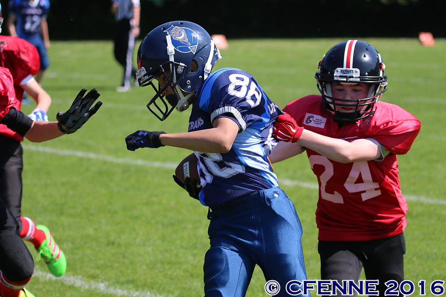 20160604hld-mustangs0258.jpg