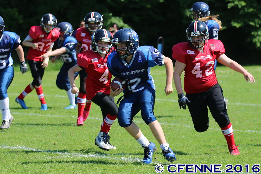 20160604hld-mustangs0279.jpg
