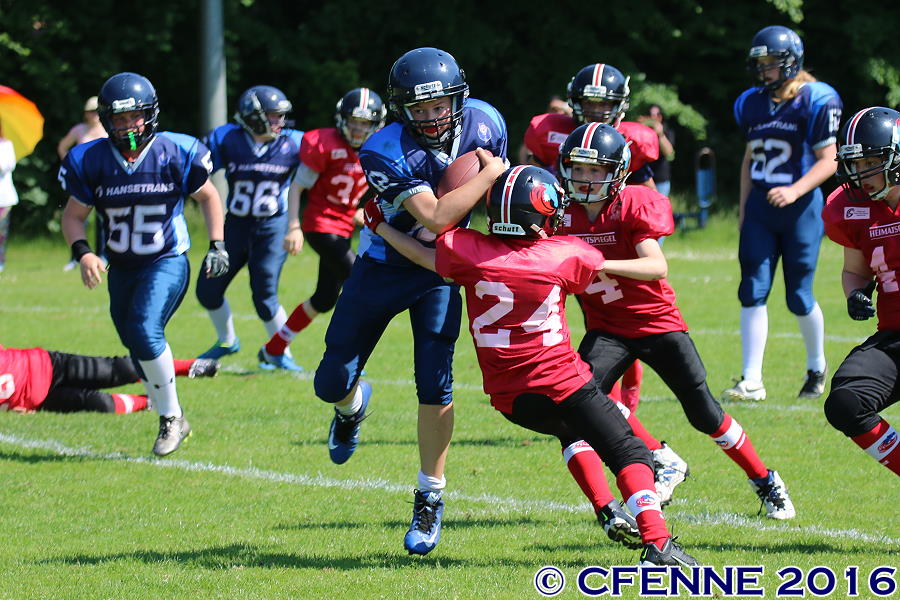 20160604hld-mustangs0281.jpg