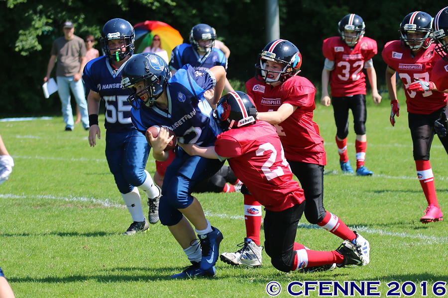 20160604hld-mustangs0283.jpg