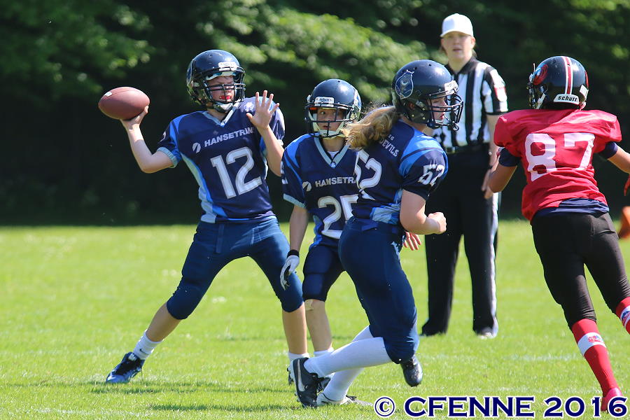 20160604hld-mustangs0301.jpg