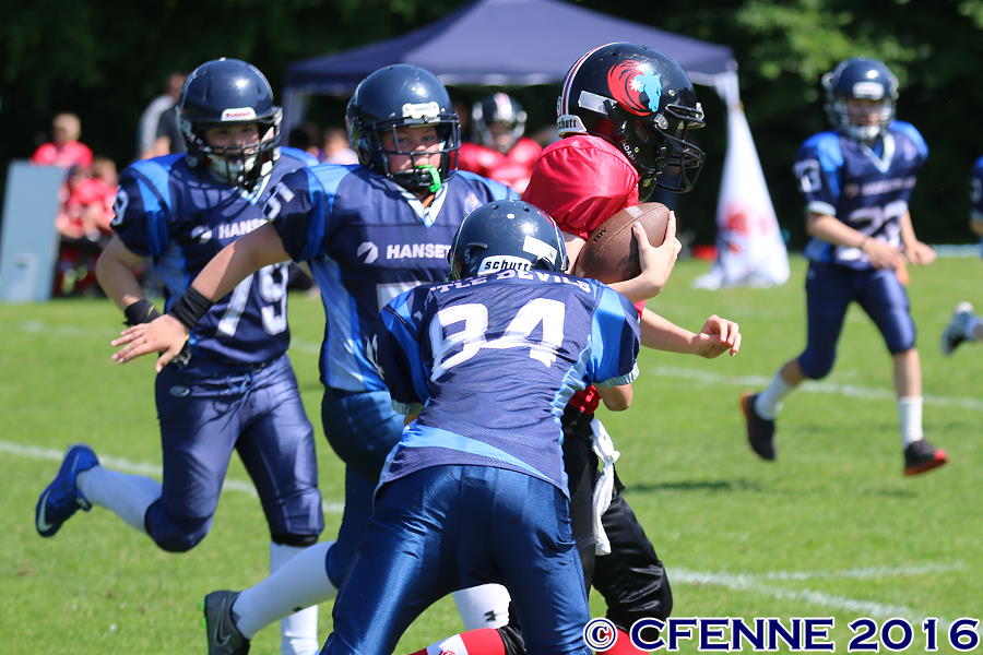 20160604hld-mustangs0403.jpg