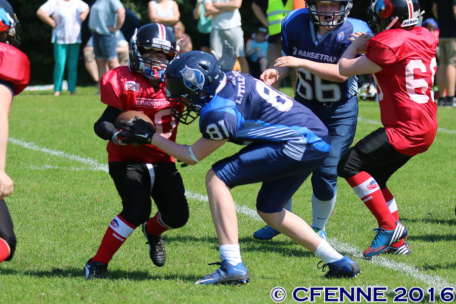 20160604hld-mustangs0417.jpg