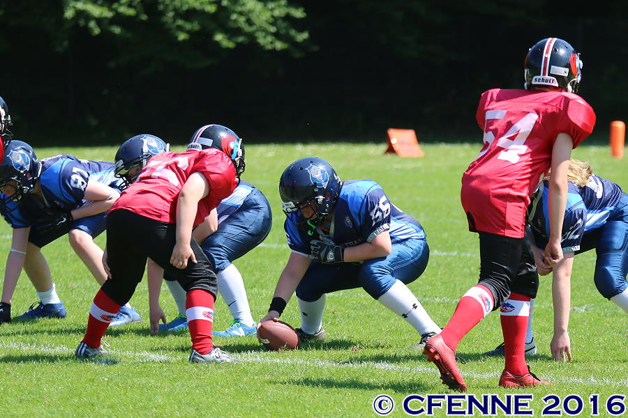 20160604hld-mustangs0438.jpg