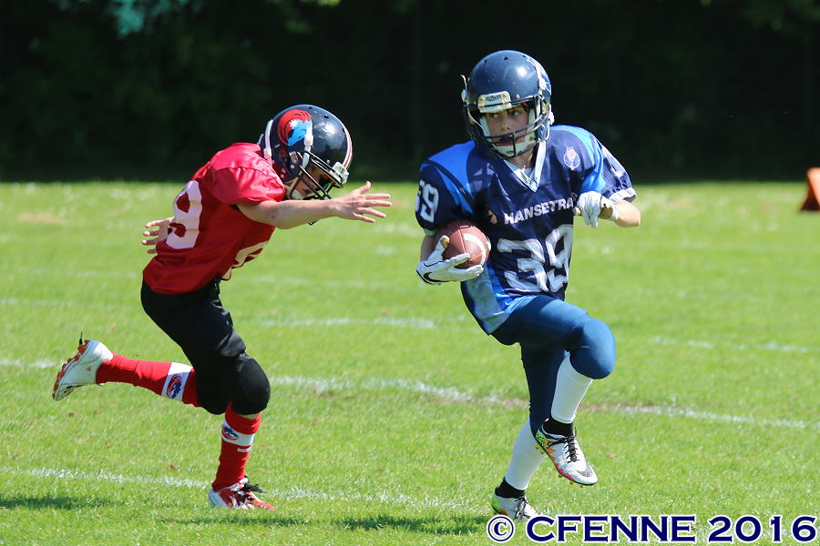 20160604hld-mustangs0461.jpg