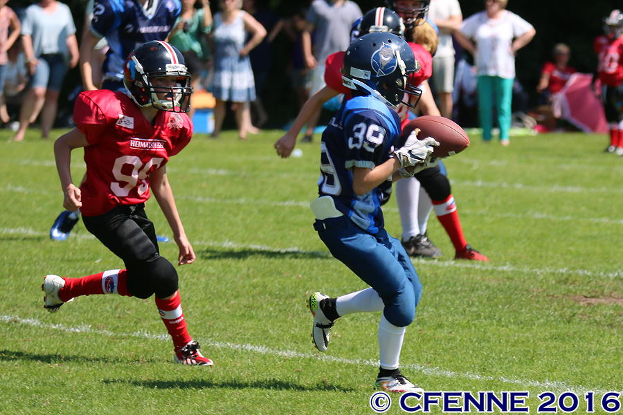 20160604hld-mustangs0500.jpg