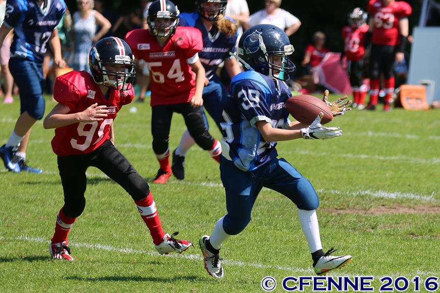 20160604hld-mustangs0501.jpg
