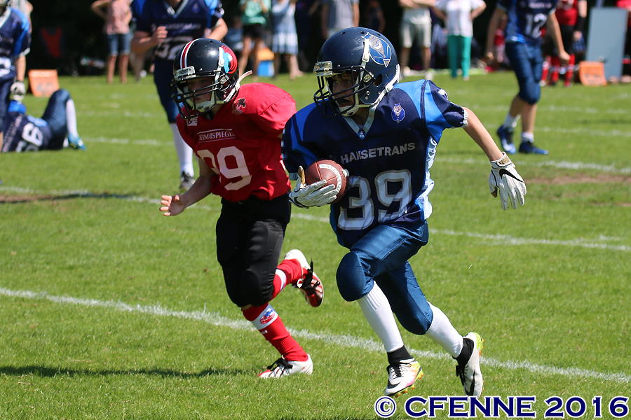 20160604hld-mustangs0512.jpg