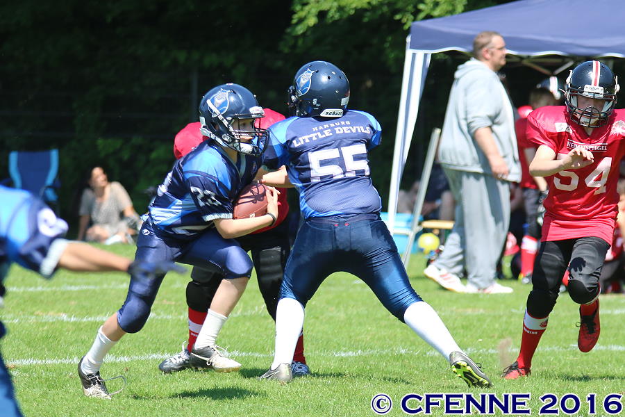 20160604hld-mustangs0614.jpg