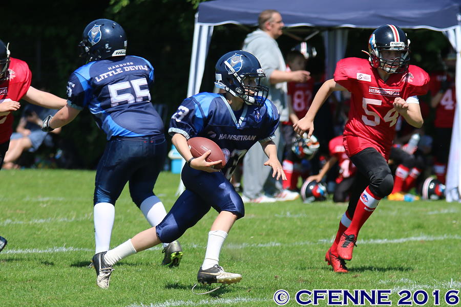 20160604hld-mustangs0616.jpg